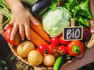 Cibo biologico per bambini: vantaggi e consigli pratici