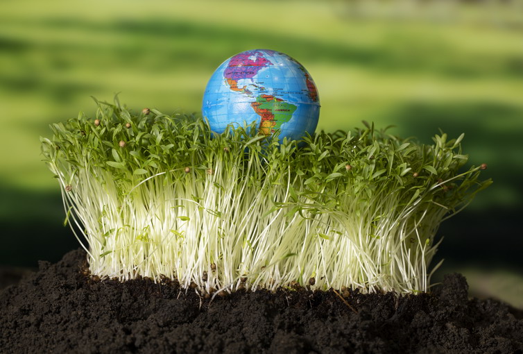 Cambiamenti climatici e sfruttamento del suolo: un legame indissolubile