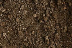 Risanamento dei terreni contaminati: tecniche e progetti di successo