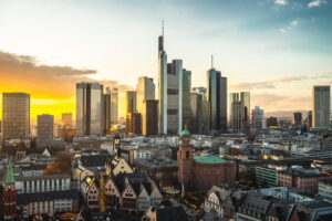 Urbanizzazione e perdita di biodiversità: quando la crescita diventa distruzione